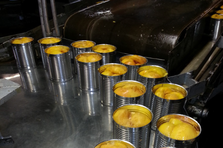 Food Safety Management